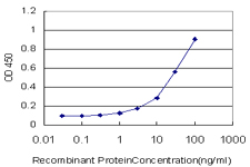 HMBS / PBGD Antibody - Detection limit for recombinant GST tagged HMBS is approximately 1 ng/ml as a capture antibody.