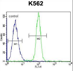 HMG1 / HMGB1 Antibody - HMG1L10 Antibody flow cytometry of K562 cells (right histogram) compared to a negative control cell (left histogram). FITC-conjugated goat-anti-rabbit secondary antibodies were used for the analysis.