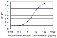 HMG20A Antibody - Detection limit for recombinant GST tagged HMG20A is 0.03 ng/ml as a capture antibody.