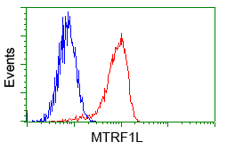 HMRF1L / MTRF1L Antibody - Flow cytometry of Jurkat cells, using anti-MTRF1L antibody, (Red) compared to a nonspecific negative control antibody (Blue).