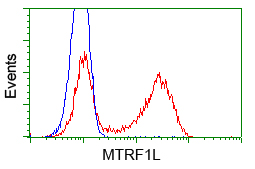 HMRF1L / MTRF1L Antibody - HEK293T cells transfected with either overexpress plasmid (Red) or empty vector control plasmid (Blue) were immunostained by anti-MTRF1L antibody, and then analyzed by flow cytometry.