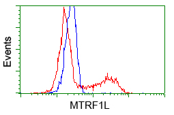 HMRF1L / MTRF1L Antibody - HEK293T cells transfected with either pCMV6-ENTRY MTRF1L (Red) or empty vector control plasmid (Blue) were immunostained with anti-MTRF1L mouse monoclonal, and then analyzed by flow cytometry.