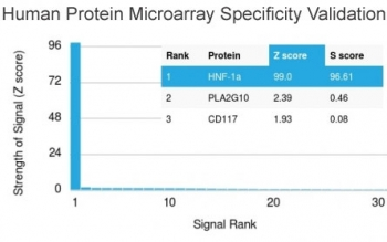 HNF1A / HNF1 Antibody - Analysis of HuProt(TM) microarray containing more than 19,000 full-length human proteins using HNF1A antibody (clone HNF1A/2087). These results demonstrate the foremost specificity of the HNF1A/2087 mAb. Z- and S- score: The Z-score represents the strength of a signal that an antibody (in combination with a fluorescently-tagged anti-IgG secondary Ab) produces when binding to a particular protein on the HuProt(TM) array. Z-scores are described in units of standard deviations (SD's) above the mean value of all signals generated on that array. If the targets on the HuProt(TM) are arranged in descending order of the Z-score, the S-score is the difference (also in units of SD's) between the Z-scores. The S-score therefore represents the relative target specificity of an Ab to its intended target.