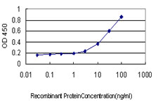 HNF4A / HNF4 Antibody - Detection limit for recombinant GST tagged HNF4A is approximately 1 ng/ml as a capture antibody.