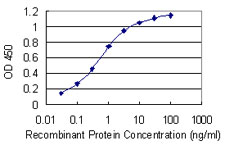 HnRNP-E1 / PCBP1 Antibody - Detection limit for recombinant GST tagged PCBP1 is 0.03 ng/ml as a capture antibody.