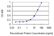 HnRNP U Antibody - Detection limit for recombinant GST tagged HNRNPU is 0.3 ng/ml as a capture antibody.