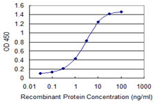 HNRNPA2B1 Antibody - Detection limit for recombinant GST tagged HNRNPA2B1 is 0.03 ng/ml as a capture antibody.