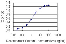 HNRNPC / HNRNP C Antibody - Detection limit for recombinant GST tagged HNRNPC is 0.03 ng/ml as a capture antibody.
