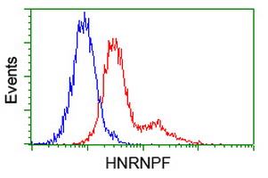 HNRNPF / hnRNP F Antibody - Flow cytometric Analysis of Jurkat cells, using anti-HNRNPF antibody, (Red), compared to a nonspecific negative control antibody, (Blue).