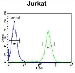 HNRNPL / hnRNP L Antibody - HNRPL Antibody flow cytometry of Jurkat cells (right histogram) compared to a negative control cell (left histogram). FITC-conjugated goat-anti-rabbit secondary antibodies were used for the analysis.