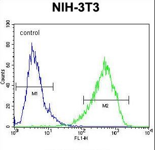 HOMEZ Antibody - HOMEZ Antibody flow cytometry of NIH-3T3 cells (right histogram) compared to a negative control cell (left histogram). FITC-conjugated goat-anti-rabbit secondary antibodies were used for the analysis.