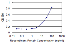 HOOK3 Antibody - Detection limit for recombinant GST tagged HOOK3 is 1 ng/ml as a capture antibody.