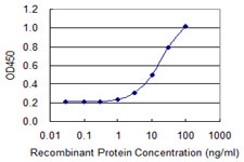 HOXA1 Antibody - Detection limit for recombinant GST tagged HOXA1 is 0.3 ng/ml as a capture antibody.