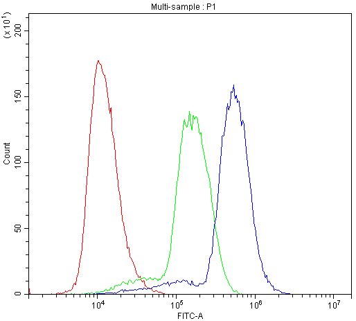 HOXA11 Antibody - Flow Cytometry analysis of U937 cells using anti-HOXA11 antibody. Overlay histogram showing U937 cells stained with anti-HOXA11 antibody (Blue line). The cells were blocked with 10% normal goat serum. And then incubated with rabbit anti-HOXA11 Antibody (1µg/10E6 cells) for 30 min at 20°C. DyLight®488 conjugated goat anti-rabbit IgG (5-10µg/10E6 cells) was used as secondary antibody for 30 minutes at 20°C. Isotype control antibody (Green line) was rabbit IgG (1µg/10E6 cells) used under the same conditions. Unlabelled sample (Red line) was also used as a control.