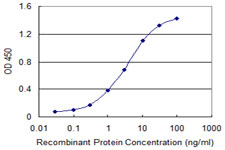 HOXA9 Antibody - Detection limit for recombinant GST tagged HOXA9 is 0.03 ng/ml as a capture antibody.