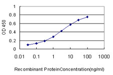 HOXC13 Antibody - Detection limit for recombinant GST tagged HOXC13 is approximately 0.1 ng/ml as a capture antibody.