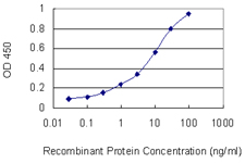 HOXC6 Antibody - Detection limit for recombinant GST tagged HOXC6 is 0.1 ng/ml as a capture antibody.