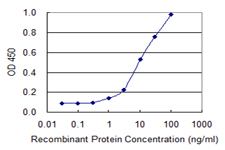 HOXD4 Antibody - Detection limit for recombinant GST tagged HOXD4 is 0.3 ng/ml as a capture antibody.