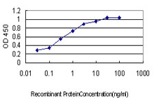 HOXD8 Antibody - Detection limit for recombinant GST tagged HOXD8 is approximately 0.03 ng/ml as a capture antibody.