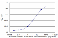 HPD Antibody - Detection limit for recombinant GST tagged HPD is approximately 0.1 ng/ml as a capture antibody.