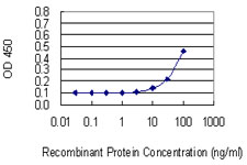 HPN / TMPRSS1 / Hepsin Antibody - Detection limit for recombinant GST tagged HPN is 3 ng/ml as a capture antibody.