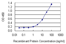 HPX / Hemopexin Antibody - Detection limit for recombinant GST tagged HPX is 0.3 ng/ml as a capture antibody.