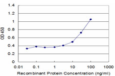 HR6B / UBE2B Antibody - Detection limit for recombinant GST tagged UBE2B is approximately 3 ng/ml as a capture antibody.