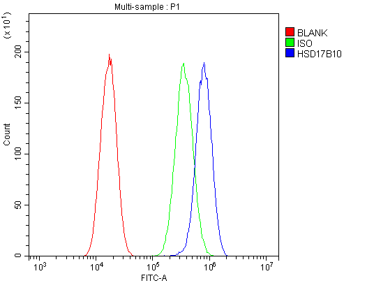 HSD17B10 / HADH2 Antibody - Flow Cytometry analysis of A549 cells using anti-ERAB antibody. Overlay histogram showing A549 cells stained with anti-ERAB antibody (Blue line). The cells were blocked with 10% normal goat serum. And then incubated with rabbit anti-ERAB Antibody (1µg/10E6 cells) for 30 min at 20°C. DyLight®488 conjugated goat anti-rabbit IgG (5-10µg/10E6 cells) was used as secondary antibody for 30 minutes at 20°C. Isotype control antibody (Green line) was rabbit IgG (1µg/10E6 cells) used under the same conditions. Unlabelled sample (Red line) was also used as a control.