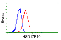 HSD17B10 / HADH2 Antibody - Flow cytometry of Jurkat cells, using anti-HSD17B10 antibody, (Red) compared to a nonspecific negative control antibody (Blue).