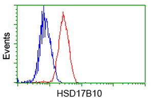 HSD17B10 / HADH2 Antibody - Flow cytometry of Jurkat cells, using anti-HSD17B10 antibody, (Red), compared to a nonspecific negative control antibody, (Blue).