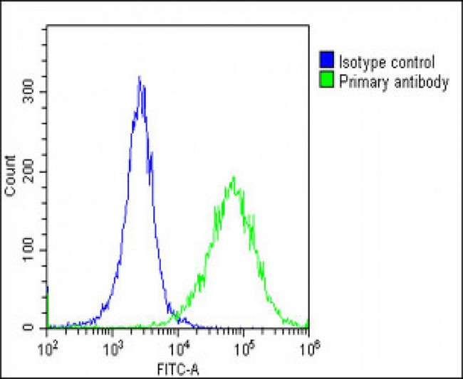 HSD17B10 / HADH2 Antibody - Overlay histogram showing Hela cells stained with HSD17B10 Antibody (N-Term) (green line). The cells were fixed with 2% paraformaldehyde (10 min) and then permeabilized with 90% methanol for 10 min. The cells were then icubated in 2% bovine serum albumin to block non-specific protein-protein interactions followed by the antibody (HSD17B10 Antibody (N-Term), 1:25 dilution) for 60 min at 37°C. The secondary antibody used was Goat-Anti-Rabbit IgG, DyLight® 488 Conjugated Highly Cross-Adsorbed (OE188374) at 1/200 dilution for 40 min at 37°C. Isotype control antibody (blue line) was rabbit IgG1 (1µg/1x10^6 cells) used under the same conditions. Acquisition of >10, 000 events was performed.