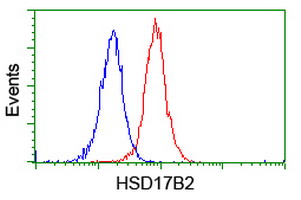 HSD17B2 Antibody - Flow cytometry of Jurkat cells, using anti-HSD17B2 antibody (Red), compared to a nonspecific negative control antibody (Blue).