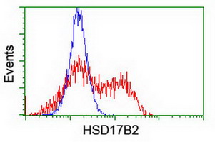 HSD17B2 Antibody - HEK293T cells transfected with either overexpress plasmid (Red) or empty vector control plasmid (Blue) were immunostained by anti-HSD17B2 antibody, and then analyzed by flow cytometry.