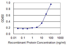 HSD3B2 Antibody - Detection limit for recombinant GST tagged HSD3B2 is 0.3 ng/ml as a capture antibody.