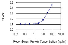 HSF1 Antibody - Detection limit for recombinant GST tagged HSF1 is 3 ng/ml as a capture antibody.