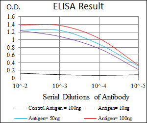 HSF4 Antibody - Red: Control Antigen (100ng); Purple: Antigen (10ng); Green: Antigen (50ng); Blue: Antigen (100ng);