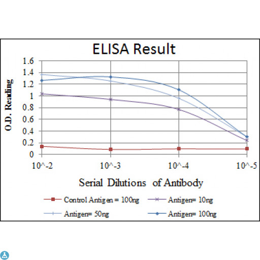 HSP90AB1 / HSP90 Alpha B1 Antibody - ELISA analysis of HSP90beta antibody.