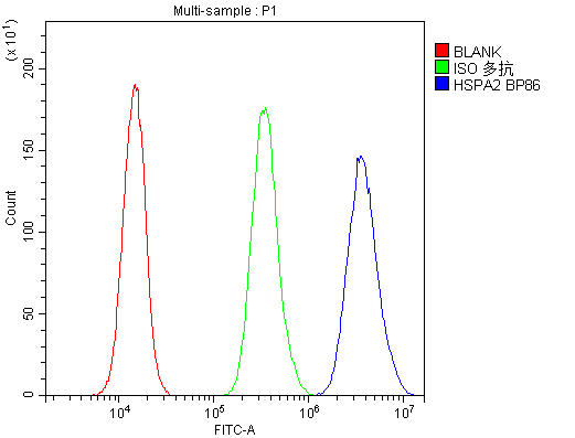 HSPA2 Antibody - Flow Cytometry analysis of PC-3 cells using anti-HSPA2 antibody. Overlay histogram showing PC-3 cells stained with anti-HSPA2 antibody (Blue line). The cells were blocked with 10% normal goat serum. And then incubated with rabbit anti-HSPA2 Antibody (1µg/10E6 cells) for 30 min at 20°C. DyLight®488 conjugated goat anti-rabbit IgG (5-10µg/10E6 cells) was used as secondary antibody for 30 minutes at 20°C. Isotype control antibody (Green line) was rabbit IgG (1µg/10E6 cells) used under the same conditions. Unlabelled sample (Red line) was also used as a control.