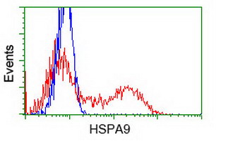HSPA9 / Mortalin / GRP75 Antibody - HEK293T cells transfected with either pCMV6-ENTRY HSPA9 (Red) or empty vector control plasmid (Blue) were immunostained with anti-HSPA9 mouse monoclonal(Dilution 1:1,000), and then analyzed by flow cytometry.