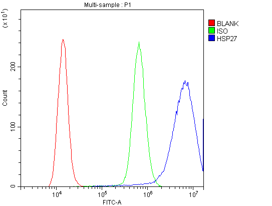 HSPB1 / HSP27 Antibody - Flow Cytometry analysis of A431 cells using anti-HSP27 antibody. Overlay histogram showing A431 cells stained with anti-HSP27 antibody (Blue line). The cells were blocked with 10% normal goat serum. And then incubated with rabbit anti-HSP27 Antibody (1µg/10E6 cells) for 30 min at 20°C. DyLight®488 conjugated goat anti-rabbit IgG (5-10µg/10E6 cells) was used as secondary antibody for 30 minutes at 20°C. Isotype control antibody (Green line) was rabbit IgG (1µg/10E6 cells) used under the same conditions. Unlabelled sample (Red line) was also used as a control.
