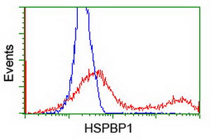 HSPBP1 Antibody - HEK293T cells transfected with either overexpress plasmid (Red) or empty vector control plasmid (Blue) were immunostained by anti-HSPBP1 antibody, and then analyzed by flow cytometry.
