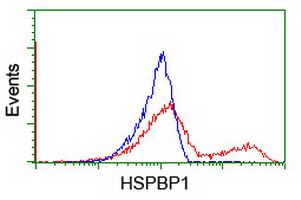 HSPBP1 Antibody - HEK293T cells transfected with either overexpress plasmid (Red) or empty vector control plasmid (Blue) were immunostained by anti-HSPBP1 antibody, and then analyzed by flow cytometry.