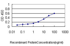 HSPE1 / HSP10 / Chaperonin 10 Antibody - Detection limit for recombinant GST tagged HSPE1 is approximately 0.1 ng/ml as a capture antibody.