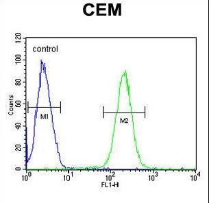 HTR3E / 5-HT3E Receptor Antibody - 5HT3E Antibody flow cytometry of CEM cells (right histogram) compared to a negative control cell (left histogram). FITC-conjugated goat-anti-rabbit secondary antibodies were used for the analysis.