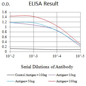 HTRA2 / OMI Antibody - Black line: Control Antigen (100 ng);Purple line: Antigen (10ng); Blue line: Antigen (50 ng); Red line:Antigen (100 ng)