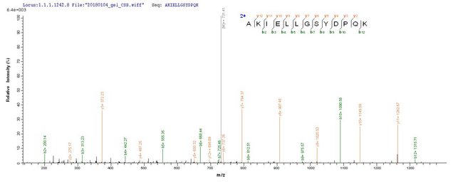 ACP1 / Acid Phosphatase Protein - Based on the SEQUEST from database of E.coli host and target protein, the LC-MS/MS Analysis result of Recombinant Human Low molecular weight phosphotyrosine protein phosphatase(ACP1) could indicate that this peptide derived from E.coli-expressed Homo sapiens (Human) ACP1.
