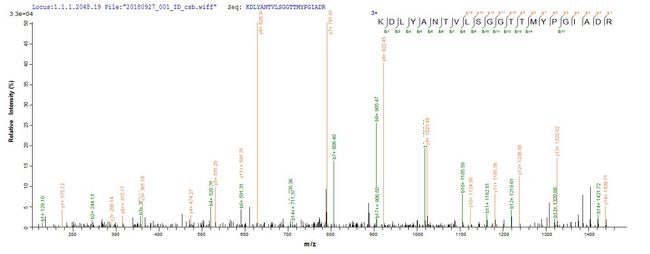 ACTB / Beta Actin Protein - Based on the SEQUEST from database of E.coli host and target protein, the LC-MS/MS Analysis result of Recombinant Human Actin, cytoplasmic 1(ACTB) could indicate that this peptide derived from E.coli-expressed Homo sapiens (Human) ACTB.