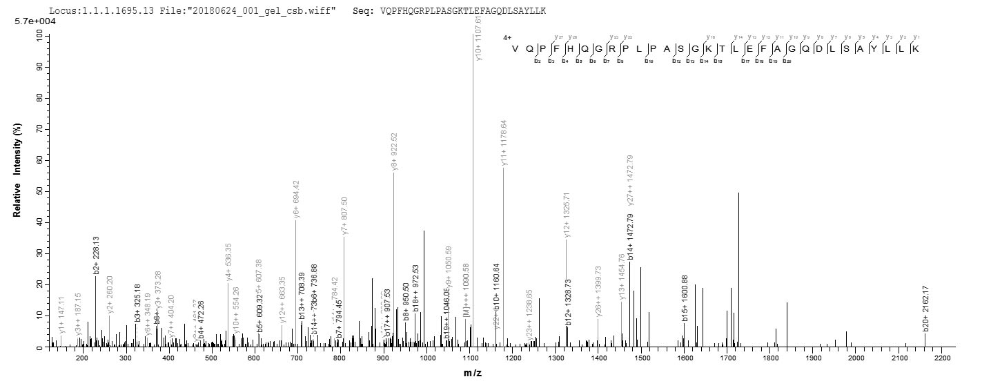 ACTL8 Protein - Based on the SEQUEST from database of E.coli host and target protein, the LC-MS/MS Analysis result of Recombinant Human Actin-like protein 8(ACTL8) could indicate that this peptide derived from E.coli-expressed Homo sapiens (Human) ACTL8.