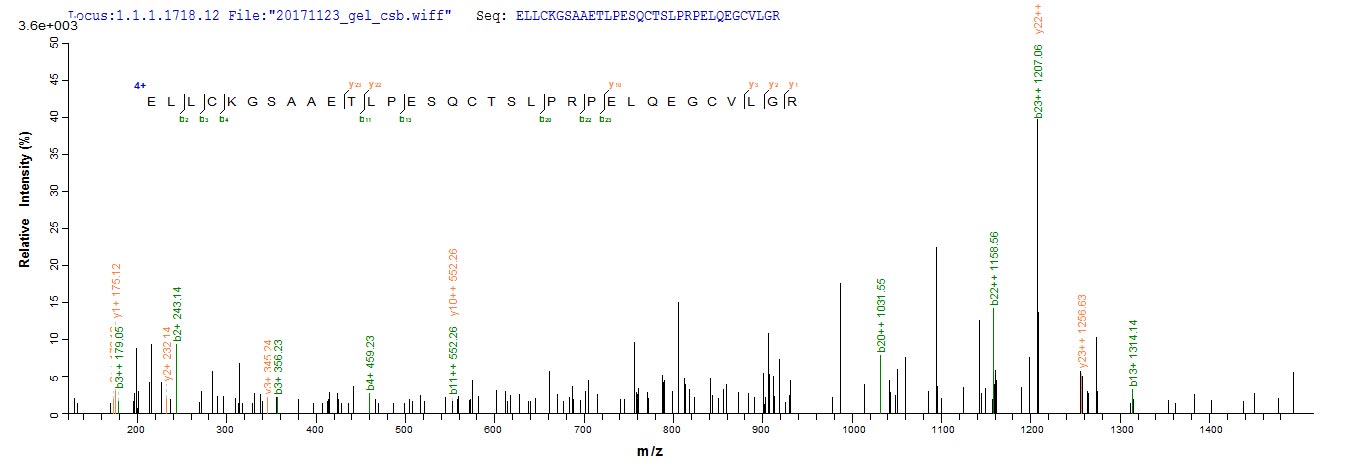 ADAMTS18 Protein - Based on the SEQUEST from database of E.coli host and target protein, the LC-MS/MS Analysis result of Recombinant Human A disintegrin and metalloproteinase with thrombospondin motifs 18(ADAMTS18),partial could indicate that this peptide derived from E.coli-expressed Homo sapiens (Human) ADAMTS18.
