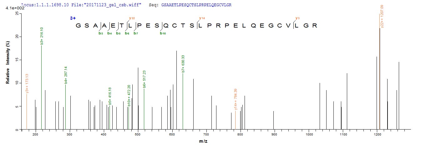 ADAMTS18 Protein - Based on the SEQUEST from database of E.coli host and target protein, the LC-MS/MS Analysis result of Recombinant Human A disintegrin and metalloproteinase with thrombospondin motifs 18(ADAMTS18),partial could indicate that this peptide derived from E.coli-expressed Homo sapiens (Human) ADAMTS18.